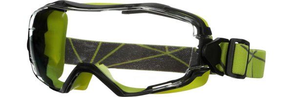 3M™ Vollsichtbrille »6000«