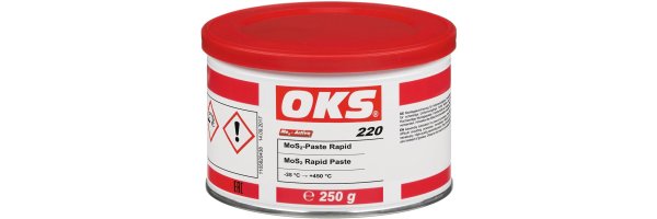 OKS® 220 MoS2-Paste Rapid