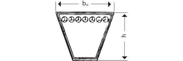 Keilriemen Profil C/22