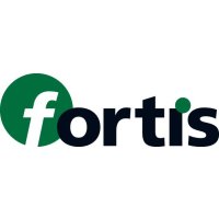 Vorschlaghammer 3kg 2K-Fiberglas FORTIS