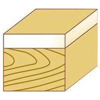 Bündigfr. Anlau. HW 16x25,4x70 S8 FORTIS