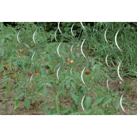 Tomatenspiralstab 150 cm Ø 6,8 mm verzinkt Floraworld