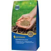 Regenerations-Rasen 1 kg Kiepenkerl