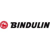 Bindulin Glas- und Porzellankleber GP28, 28g