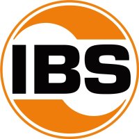 IBS-Spezialreiniger WAS 30.300 20L (Werkstattreiniger)