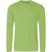 Sweatshirt, Gr. XL, wild lime