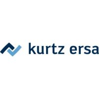 Entlötspitze für Entlötgerät VAC X2 (VE 2 Stück) Ersa